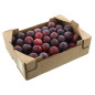BIO PRUNE 5KG